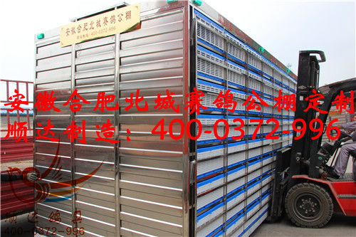 安徽合肥北城賽鴿公棚定制 放飛籠 賽鴿集裝箱 鴿籠產品展示